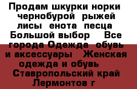 Продам шкурки норки, чернобурой, рыжей лисы, енота, песца. Большой выбор. - Все города Одежда, обувь и аксессуары » Женская одежда и обувь   . Ставропольский край,Лермонтов г.